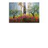 BOSQUE_TAILANDES-1.jpg